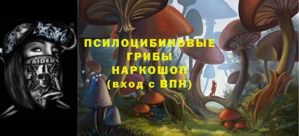 a pvp Зеленокумск