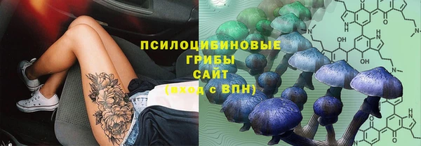 a pvp Зеленокумск