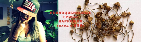 a pvp Зеленокумск