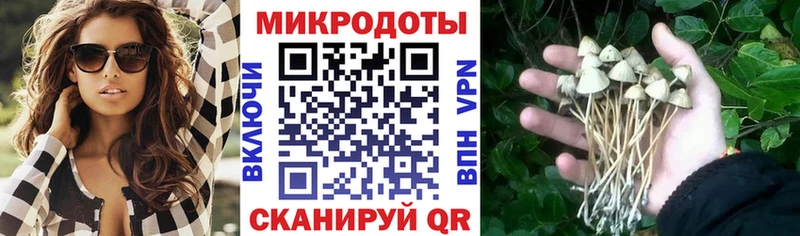 MEGA зеркало  Шелехов  Галлюциногенные грибы MAGIC MUSHROOMS 
